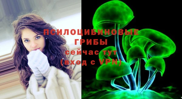 мяу мяу мука Тайга