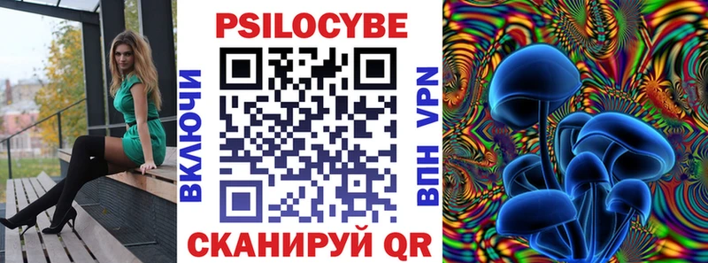 хочу наркоту  Ленинградская  Галлюциногенные грибы MAGIC MUSHROOMS 